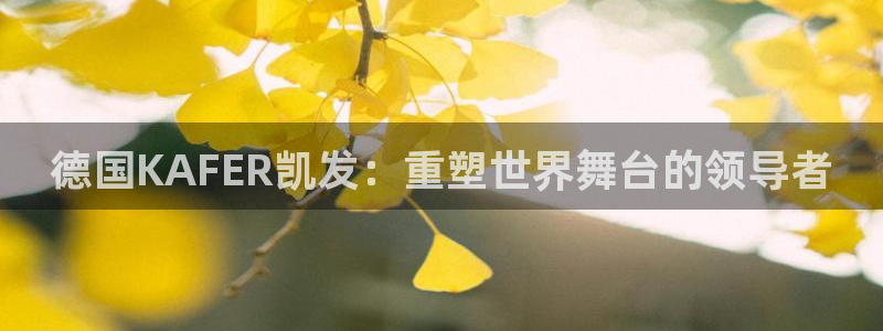 彩虹多多和牛票多多那个好用