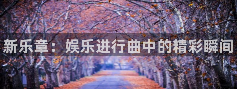彩虹多多官网