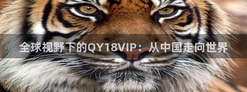 彩虹多多老版本下载