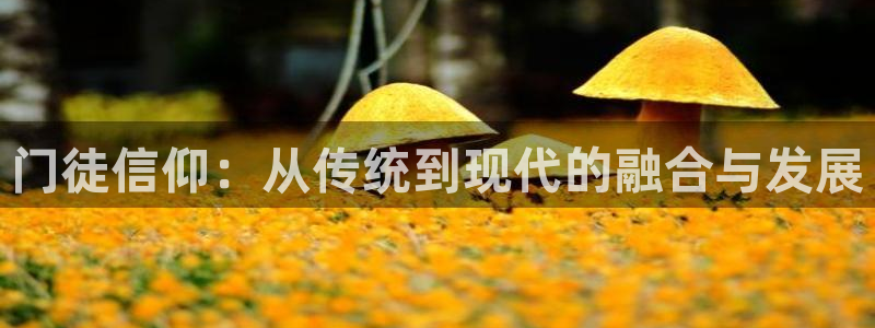 彩虹多多专享版app下载