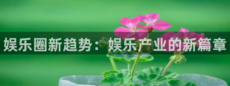 彩虹多多为什么打不开