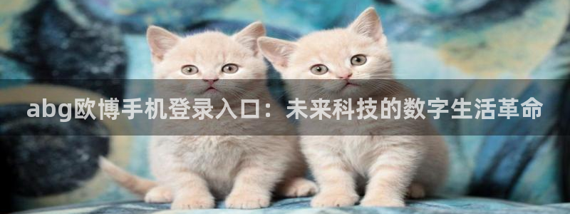 彩虹多多app官网下载安装