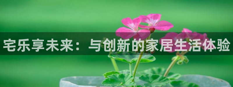 /彩虹多多