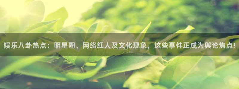 彩虹多多电脑版下载