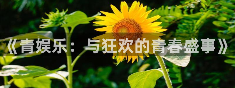 彩虹多多是正规的吗