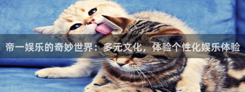 彩虹多多网站