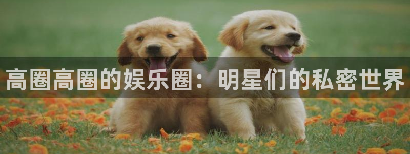 彩虹多多预测
