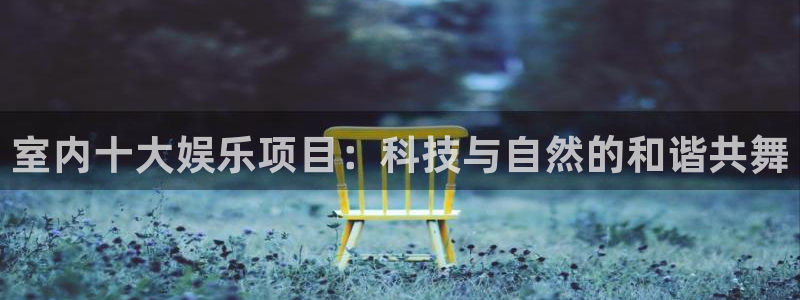 彩虹多多是哪个公司的