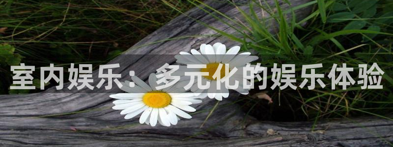 彩虹多多新版