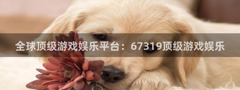 彩虹多多手机下载