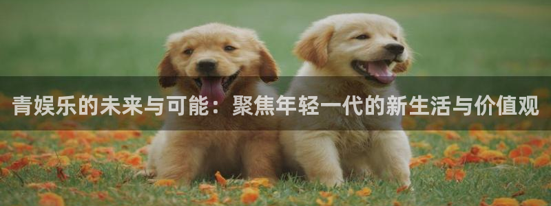 彩虹多多下载链接