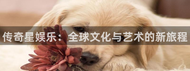 彩虹多多正版下载：传奇星娱乐：全球文化与艺术的新旅程